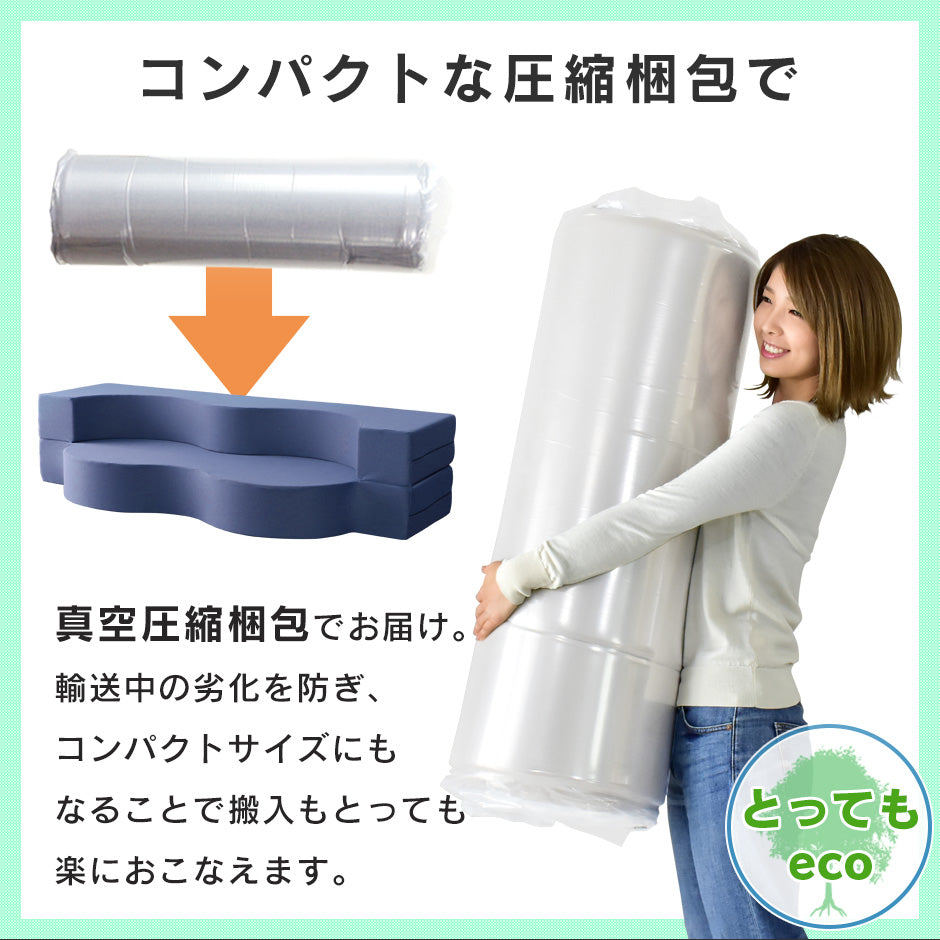 ウレタンソファー 2人掛け 2人用ソファ ソファ ローソファー ソファーベッド フロイデ 2P