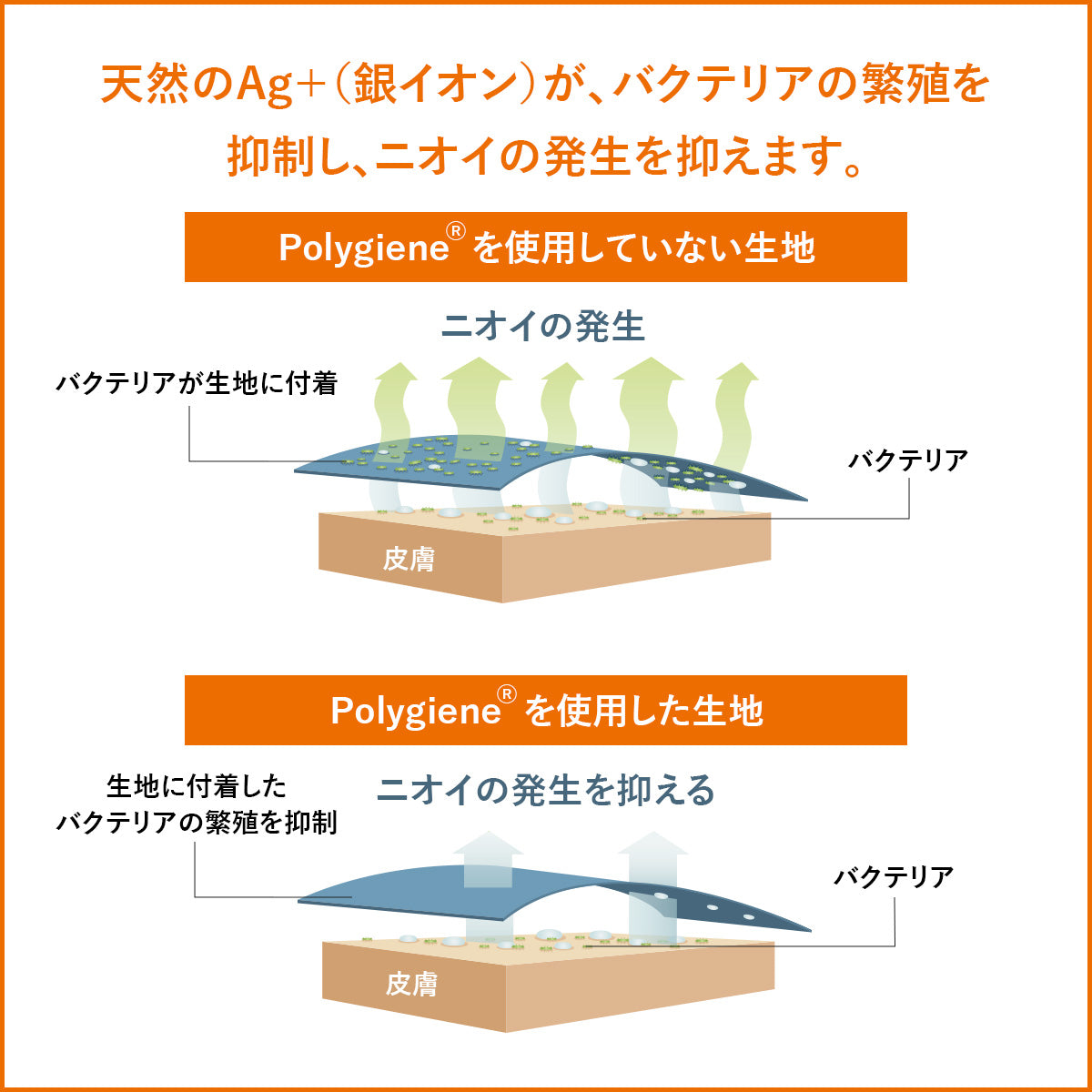 【150×210】二枚合わせ羽毛掛けふとんS