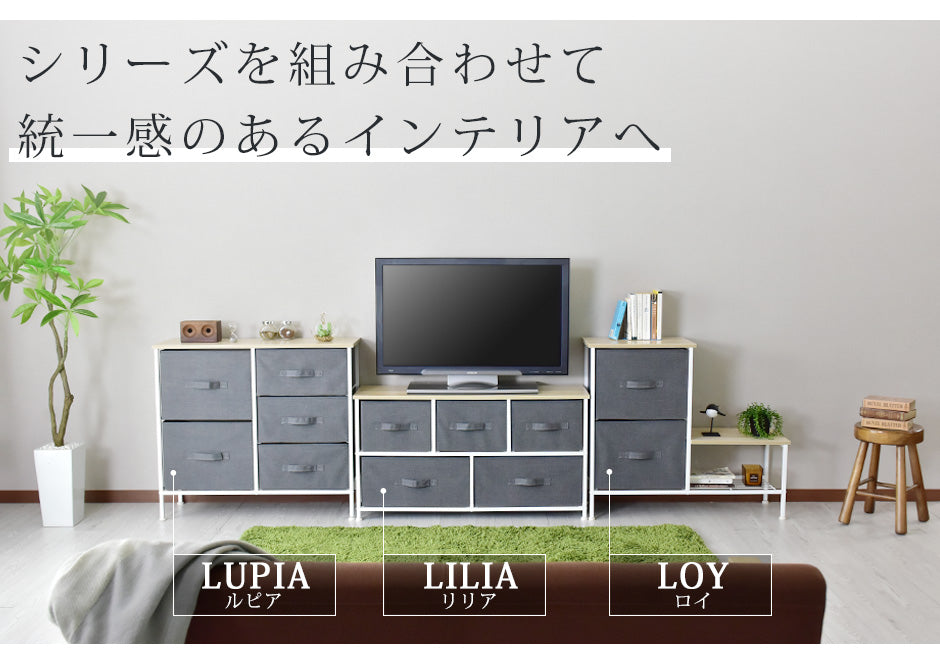 布製チェスト ロイ