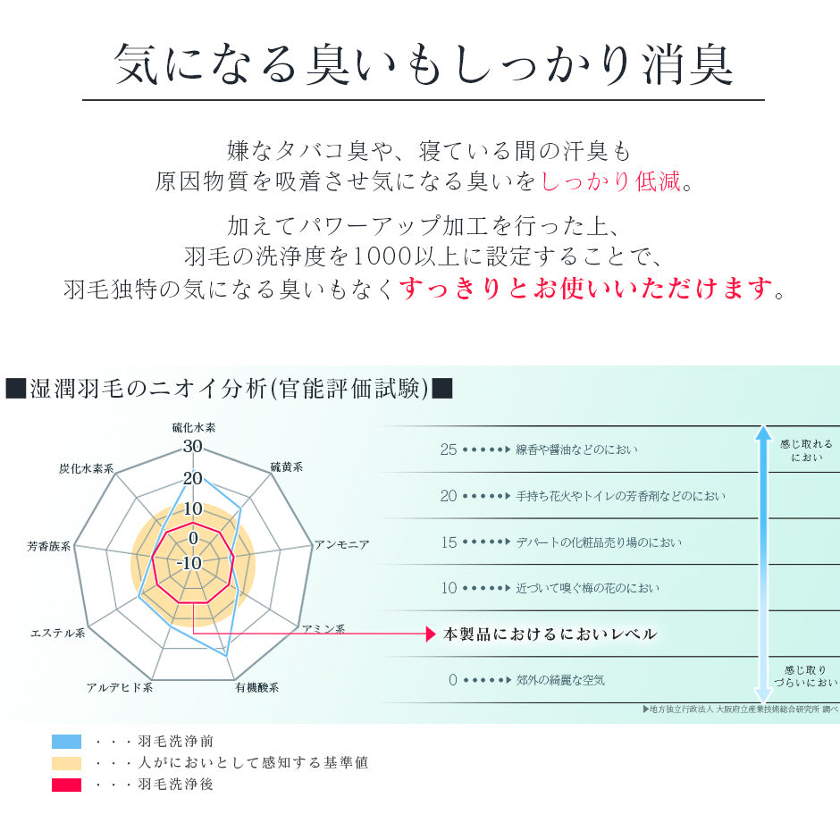 掛け羽毛布団 シングル アースフレンドリーダウン