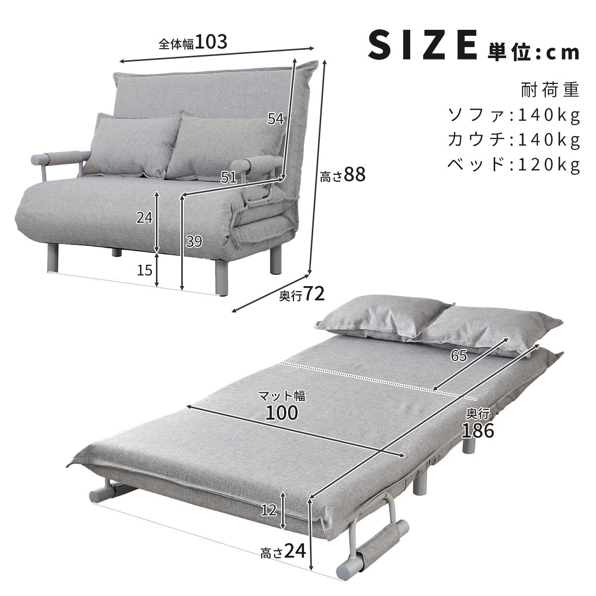 2人掛けソファ 2人用ソファ トリコL