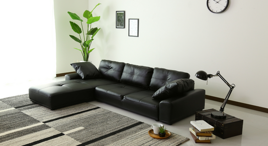 二人暮らし向け1LDKの理想的なレイアウトとスペース活用法