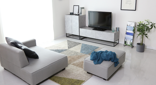 一人暮らし男子必見！1LDKのインテリアコーディネート術