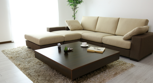 プロが教える横長リビングの最適レイアウトとインテリアスタイル