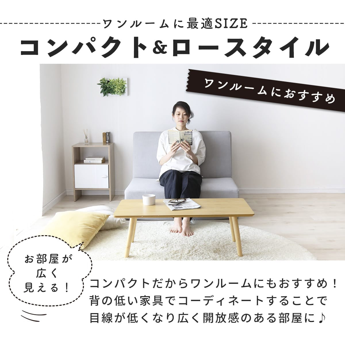 ソファベッド 2人用ソファ アルテ