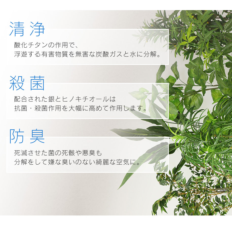 人工観葉植物 オーガスタ