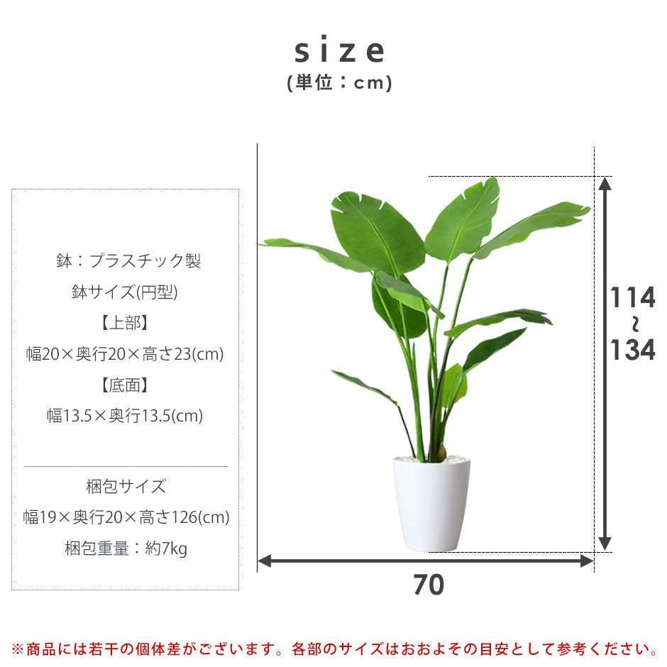 人工観葉植物 オーガスタ