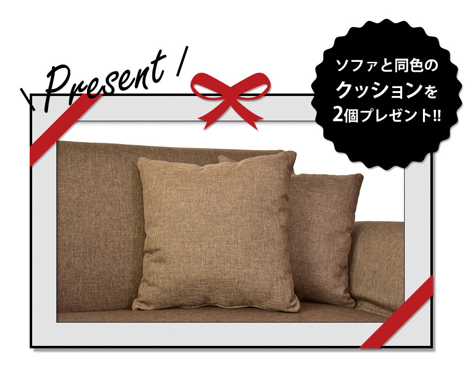 ソファーベッド 幅148cm デランナ 2P