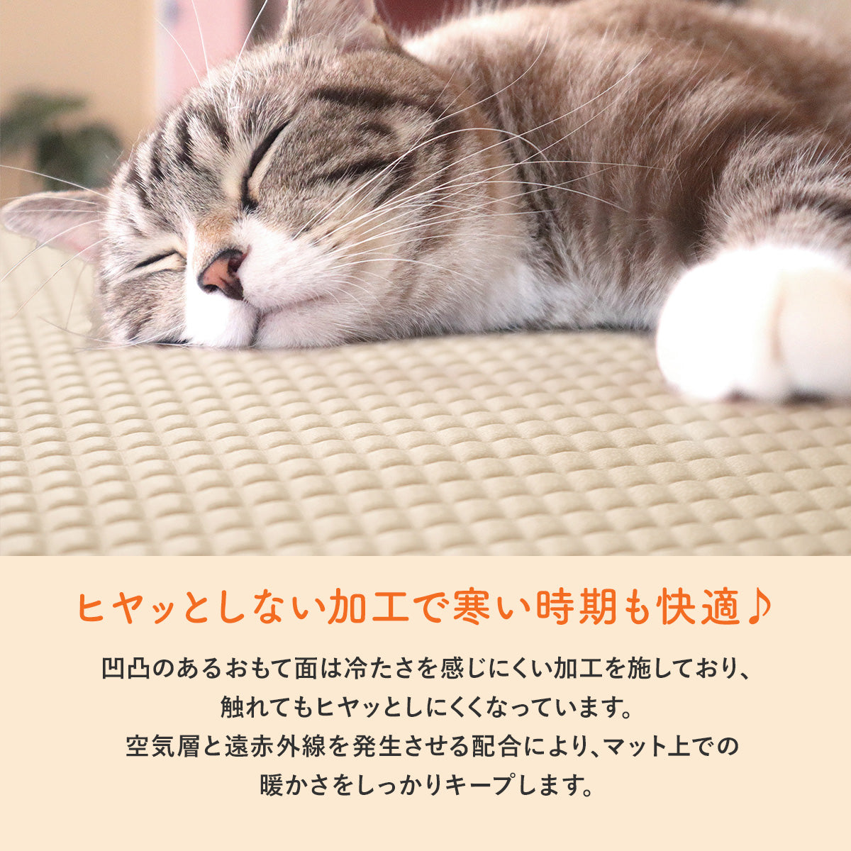 寝苦しい夜の猫 - 文学・小説