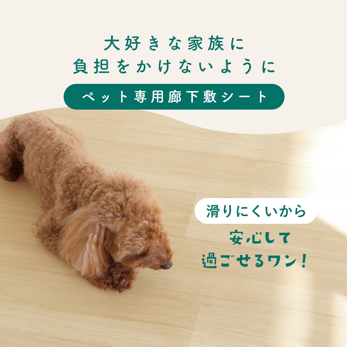 ペット用廊下敷シート【2m/3m/4m/5m】