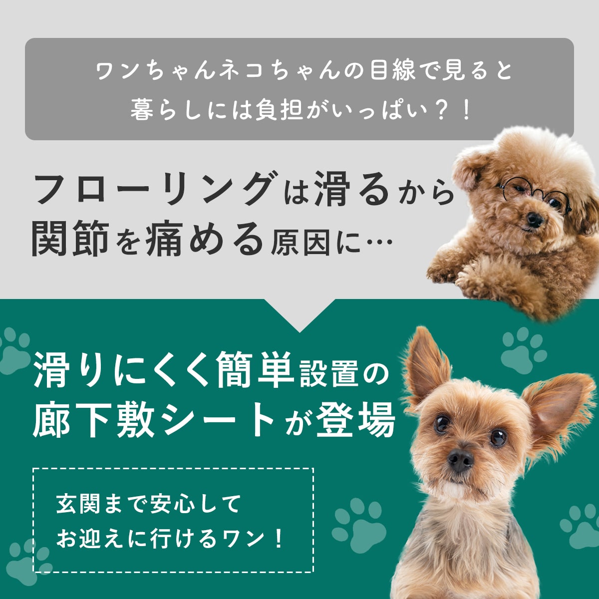 ペット用廊下敷シート【2m/3m/4m/5m】