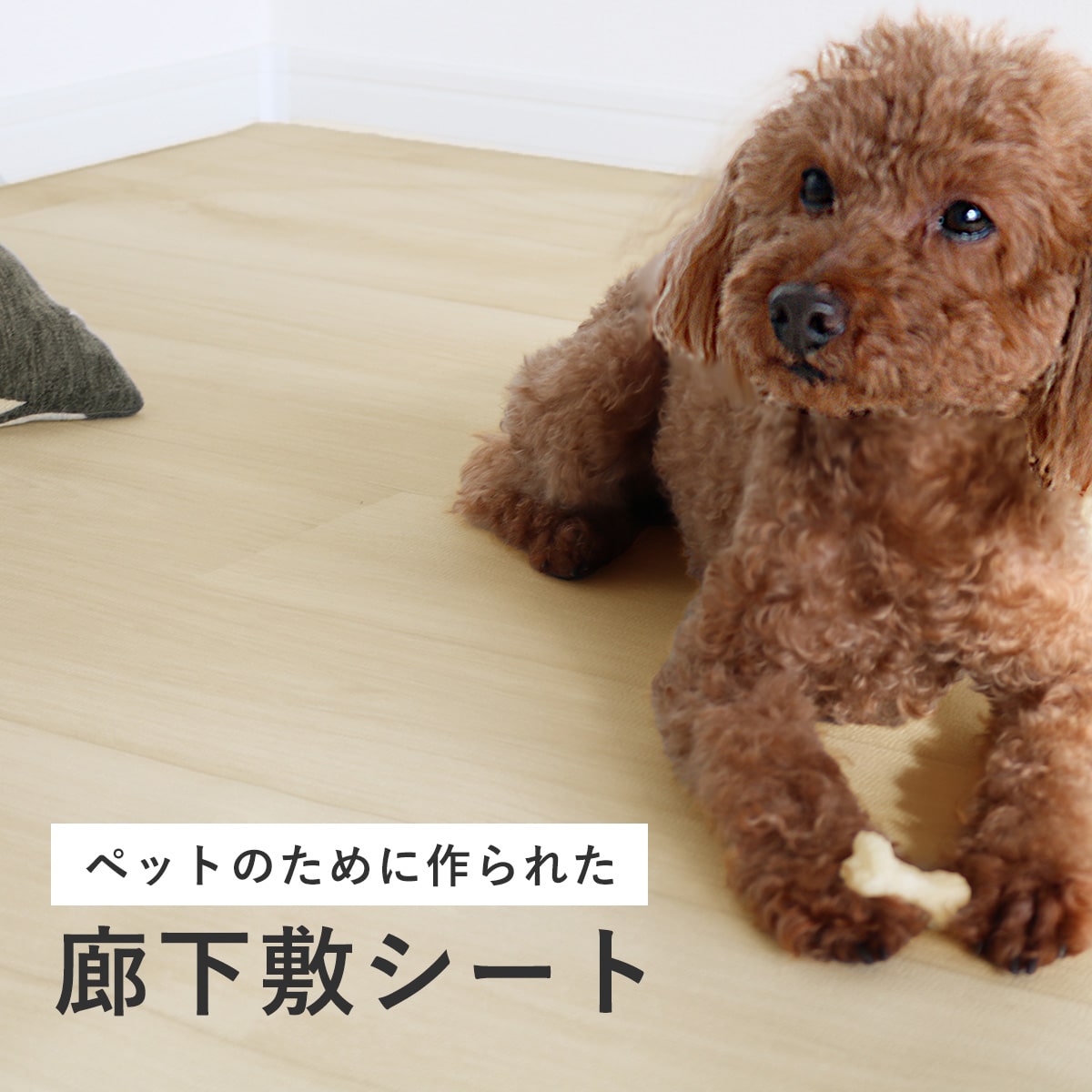 ペット用廊下敷シート【2m/3m/4m/5m】