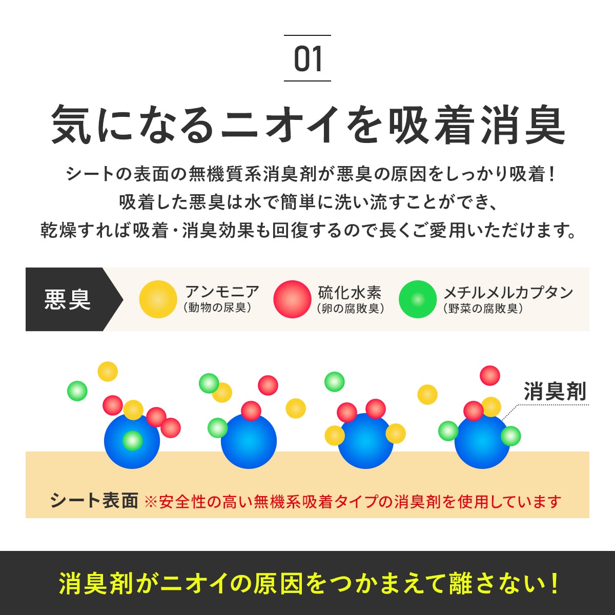ペット用廊下敷シート【2m/3m/4m/5m】