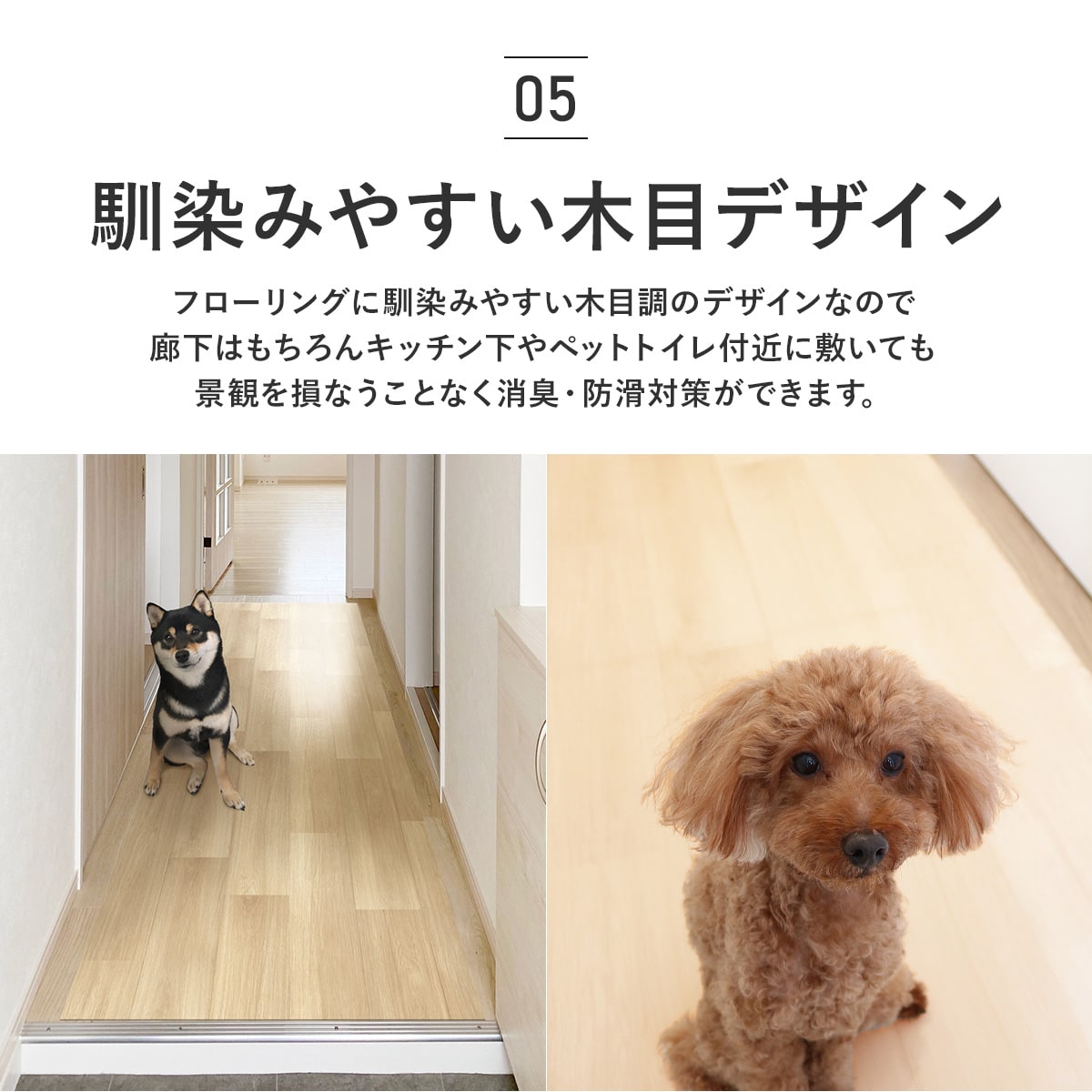 ペット用廊下敷シート【2m/3m/4m/5m】