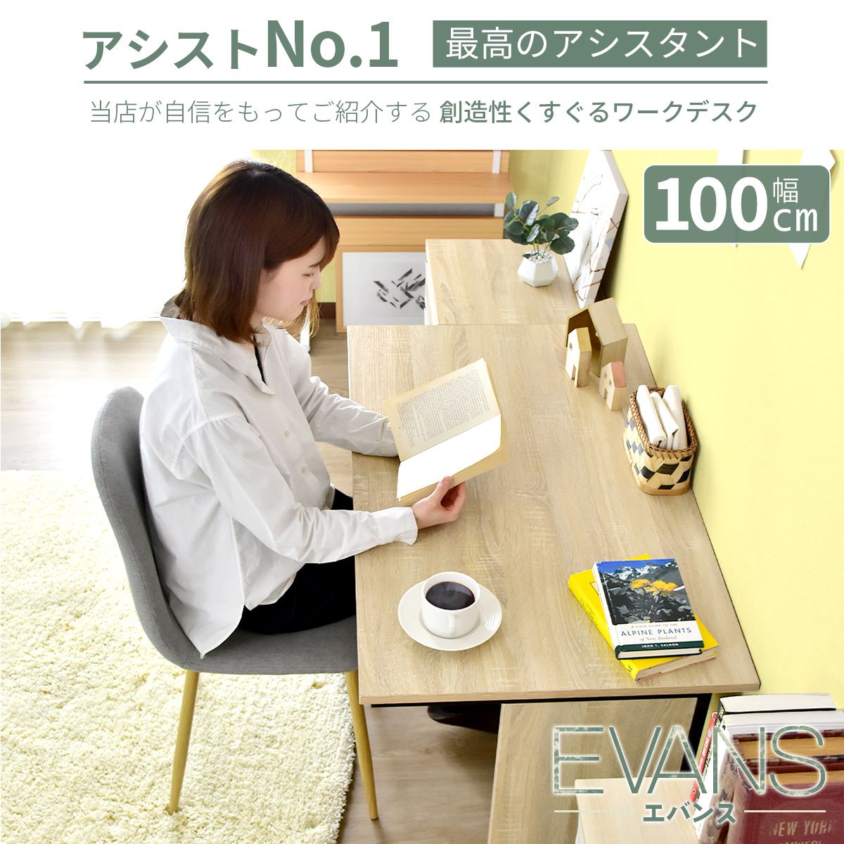 【幅100】パソコンデスク  エバンス100