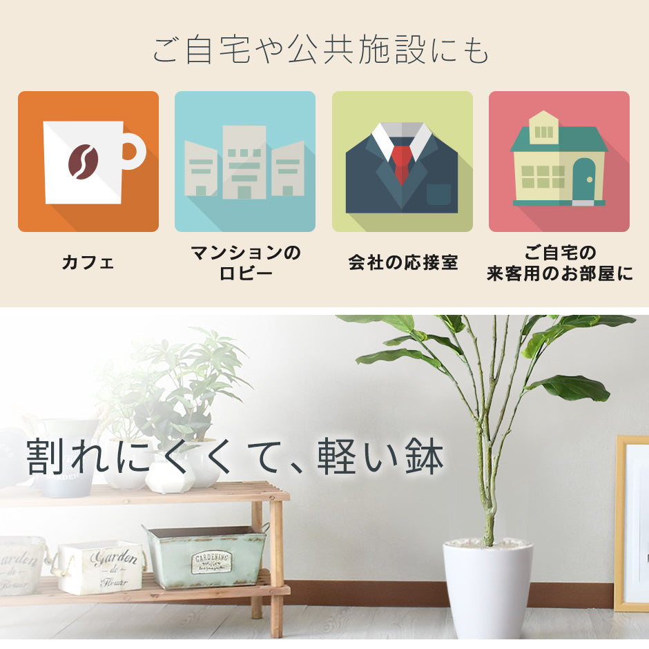 人工観葉植物 カシワバゴムノキ – ドリス公式ストア【remembrance-doris】