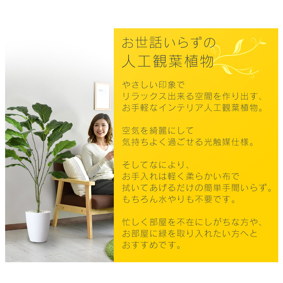 人工観葉植物 カシワバゴムノキ – ドリス公式ストア【remembrance-doris】