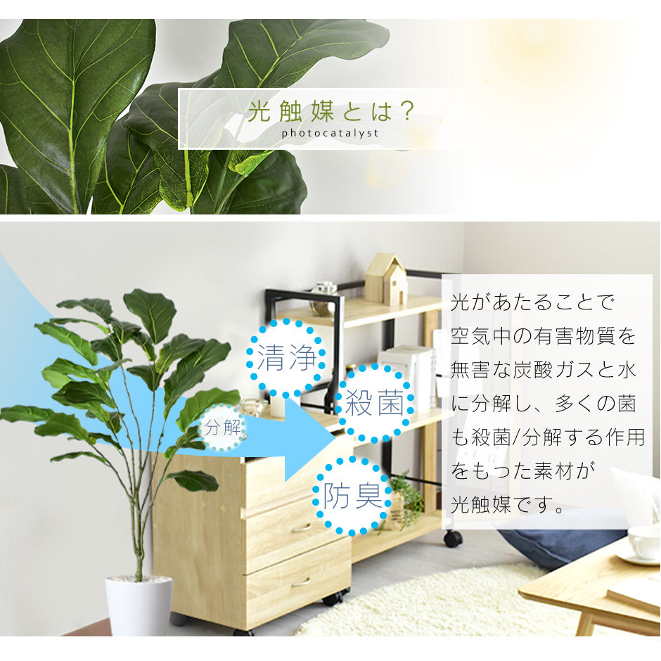 人工観葉植物 カシワバゴムノキ – ドリス公式ストア【remembrance-doris】
