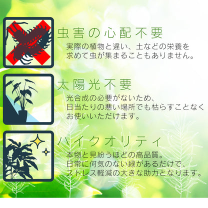 人工観葉植物 カシワバゴムノキ