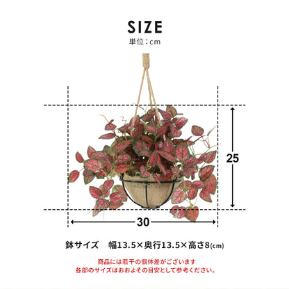 人工観葉植物 ヒポエステス43cm
