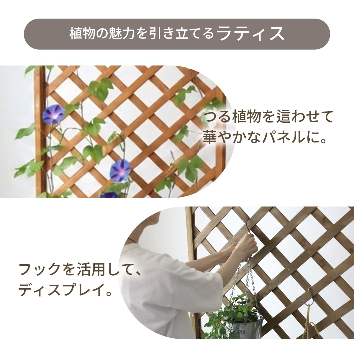 【高さ150｜180cm】ラティスプランター ラグーン