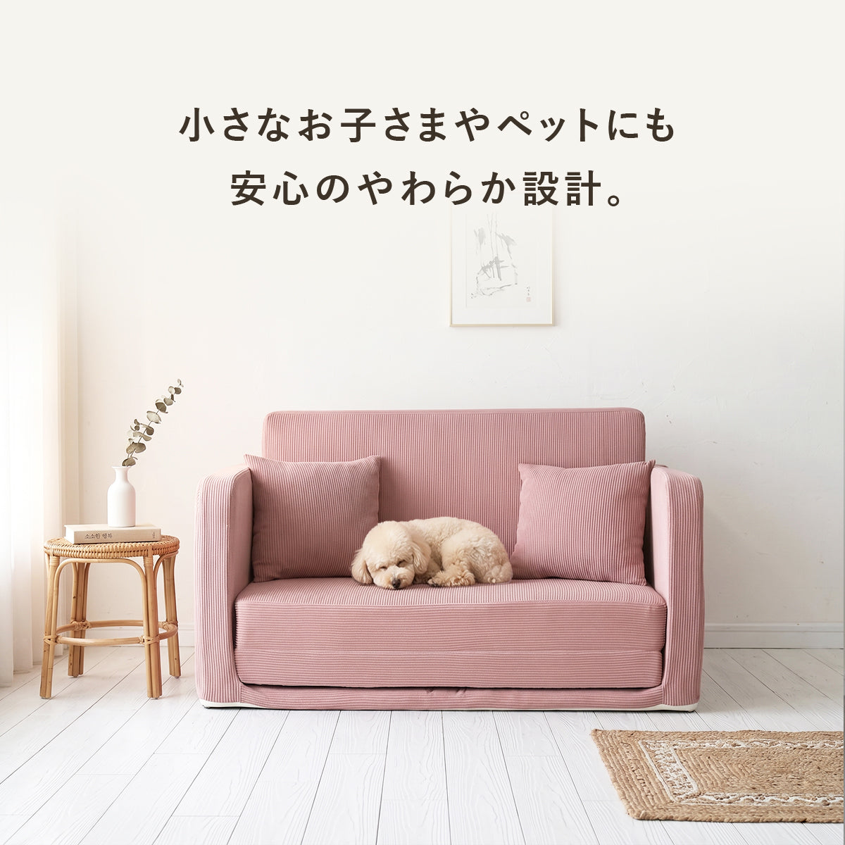 ソファーベッド2人掛け｜一人暮らしにもぴったり｜ ソファベッド