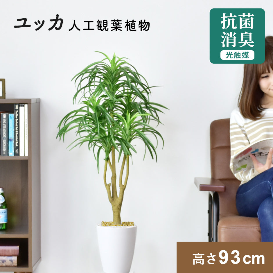 人工観葉植物 ユッカ – remembrance-doris