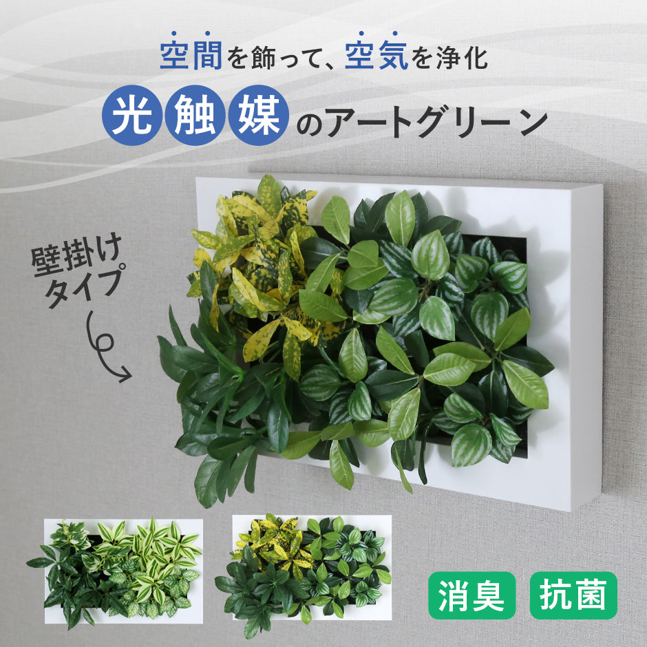 観葉植物【長方形】マイロ
