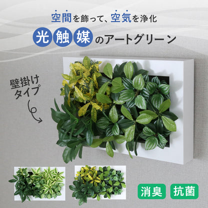 観葉植物【長方形】マイロ