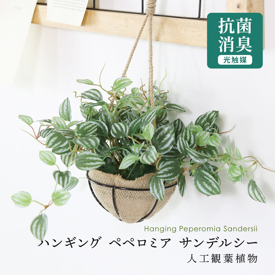 人工植物 観葉植物 DORIS 光触媒 造花 植物 フェイクグリーン 鉢付き