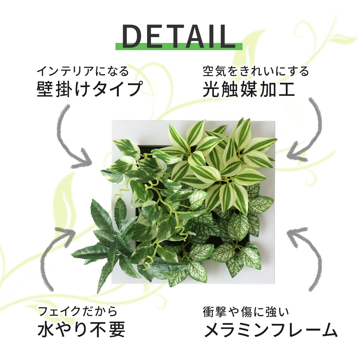 観葉植物【正方形】マイロ
