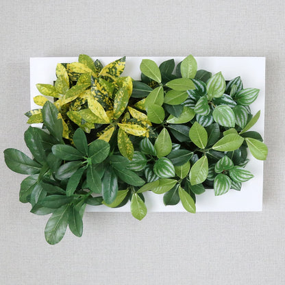 観葉植物【長方形】マイロ