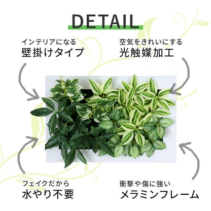 観葉植物【長方形】マイロ