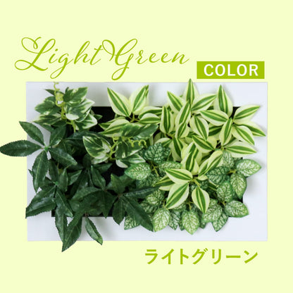 観葉植物【長方形】マイロ