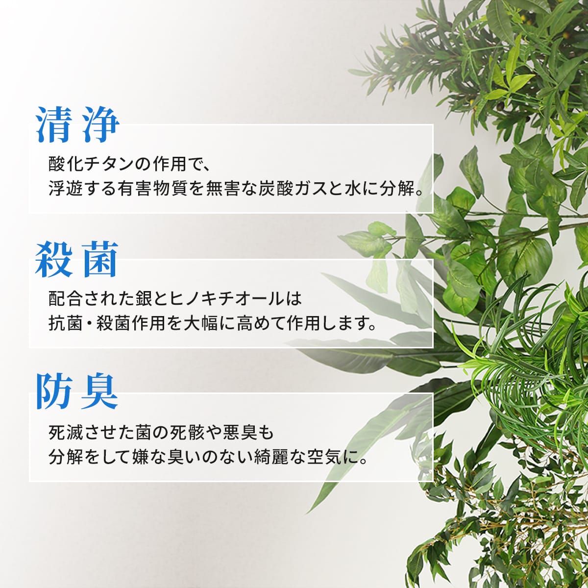 観葉植物【長方形】マイロ
