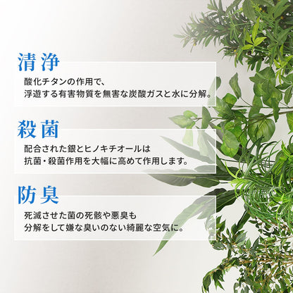 観葉植物【長方形】マイロ