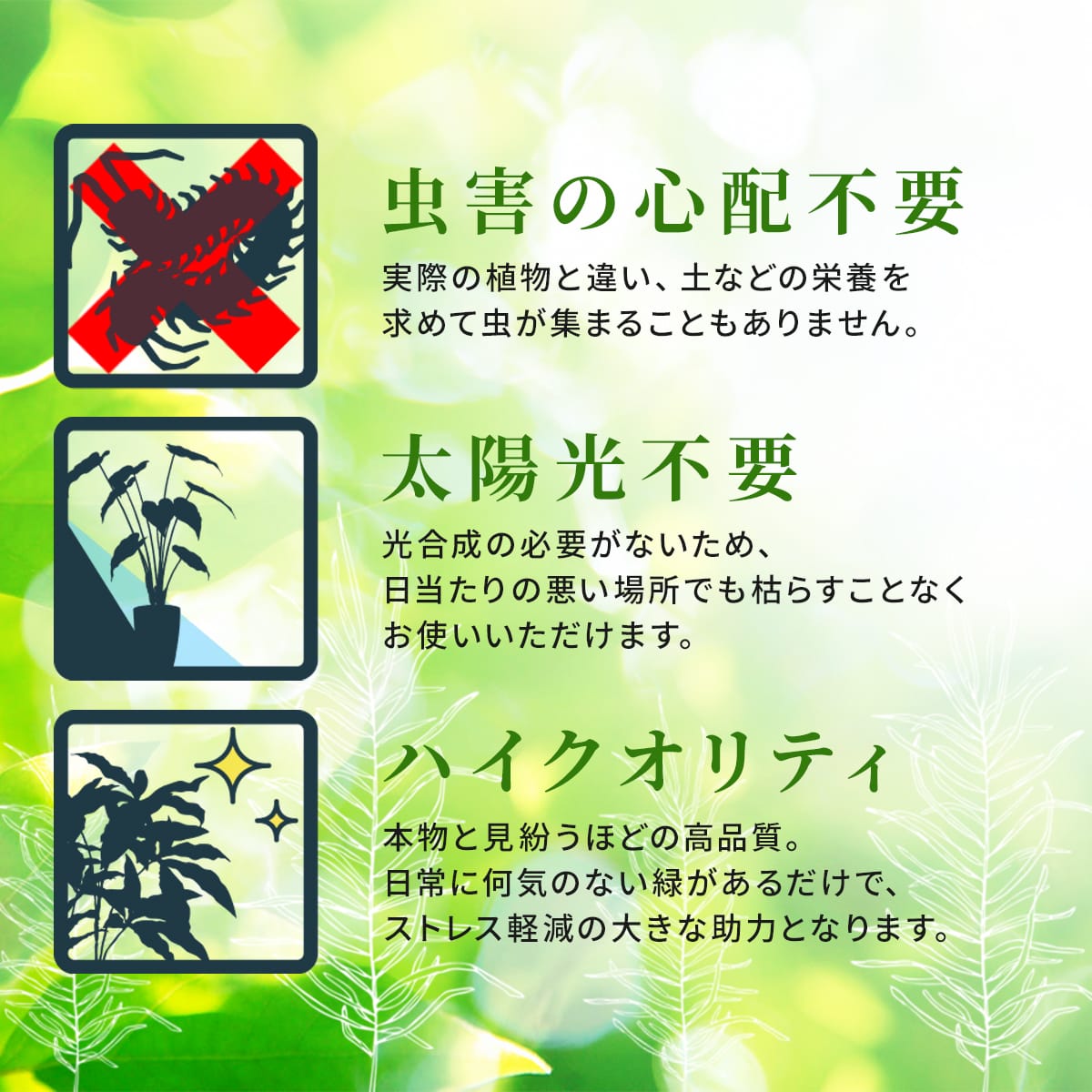 観葉植物【長方形】マイロ
