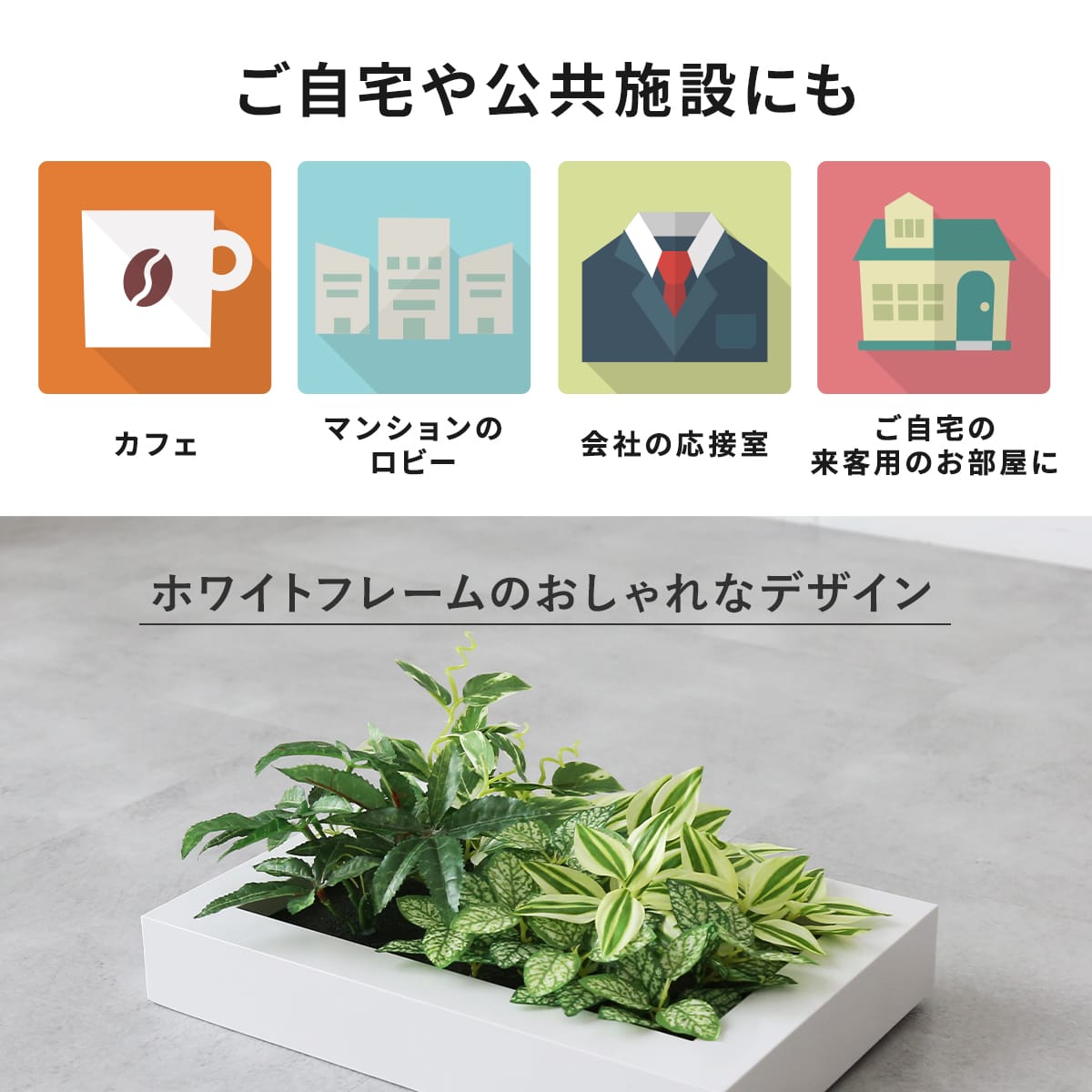 観葉植物【長方形】マイロ