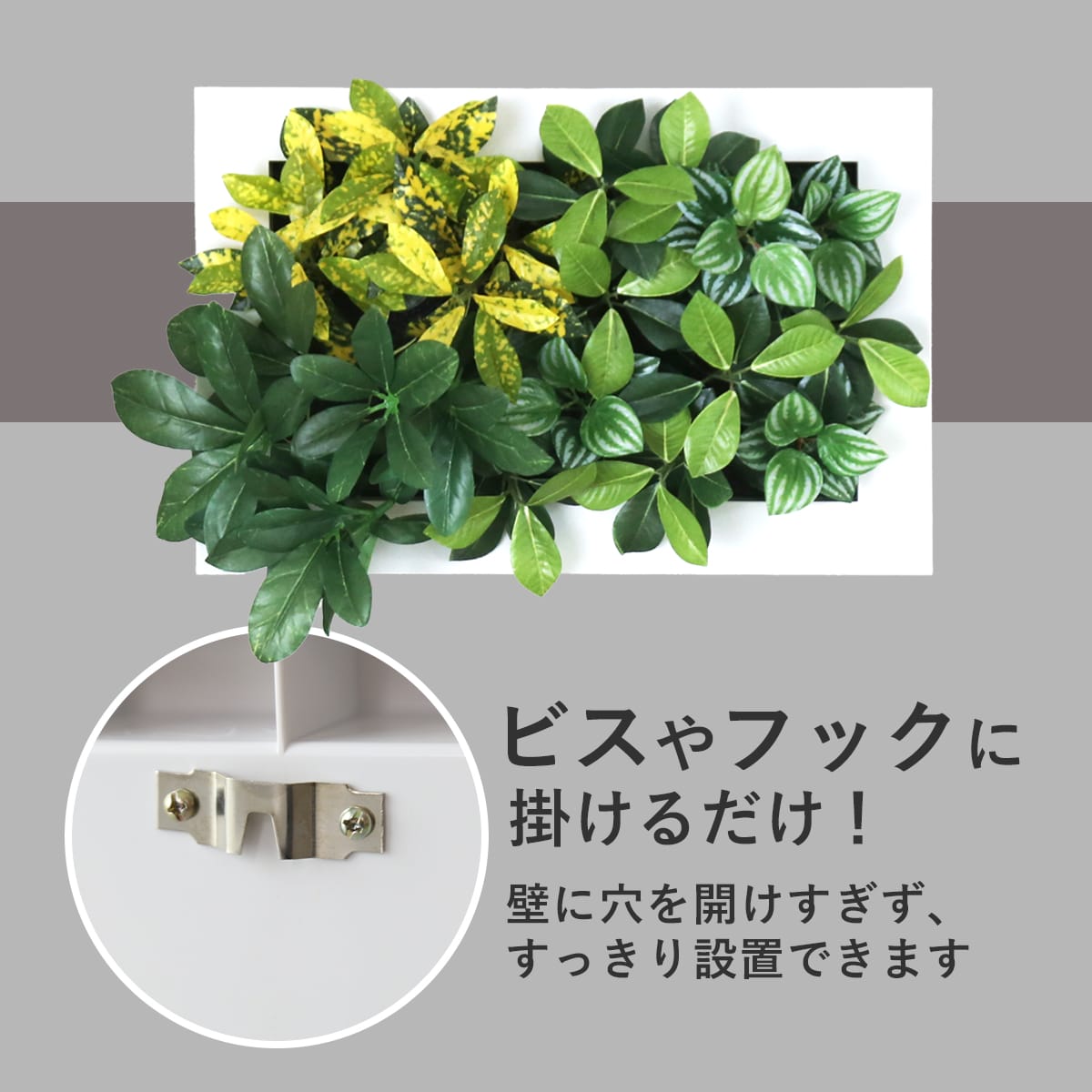 観葉植物【長方形】マイロ