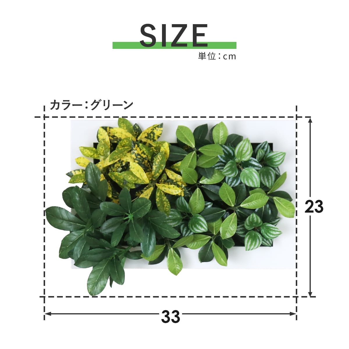 観葉植物【長方形】マイロ