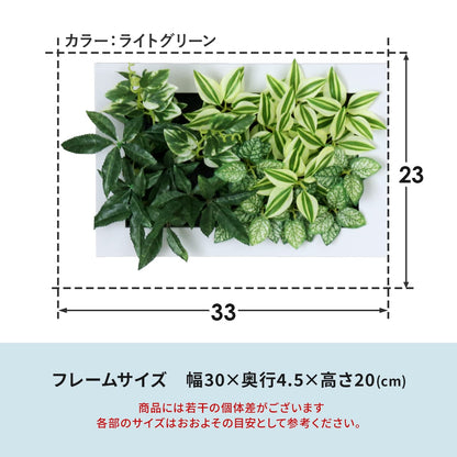 観葉植物【長方形】マイロ