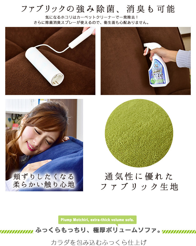 ソファー ひとりがけ ロータイプ 座椅子 各部リクライニング バーニーズ1P