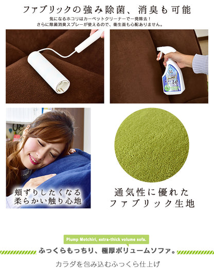 ソファー ひとりがけ ロータイプ 座椅子 各部リクライニング バーニーズ1P