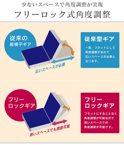 ソファー ひとりがけ ロータイプ 座椅子 各部リクライニング バーニーズ1P