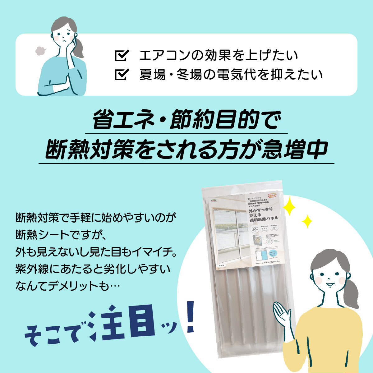 二重窓パネル 33×90㎝×6枚