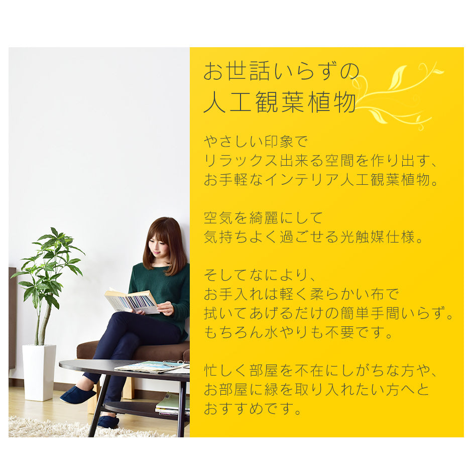 人工観葉植物 パキラ – ドリス公式