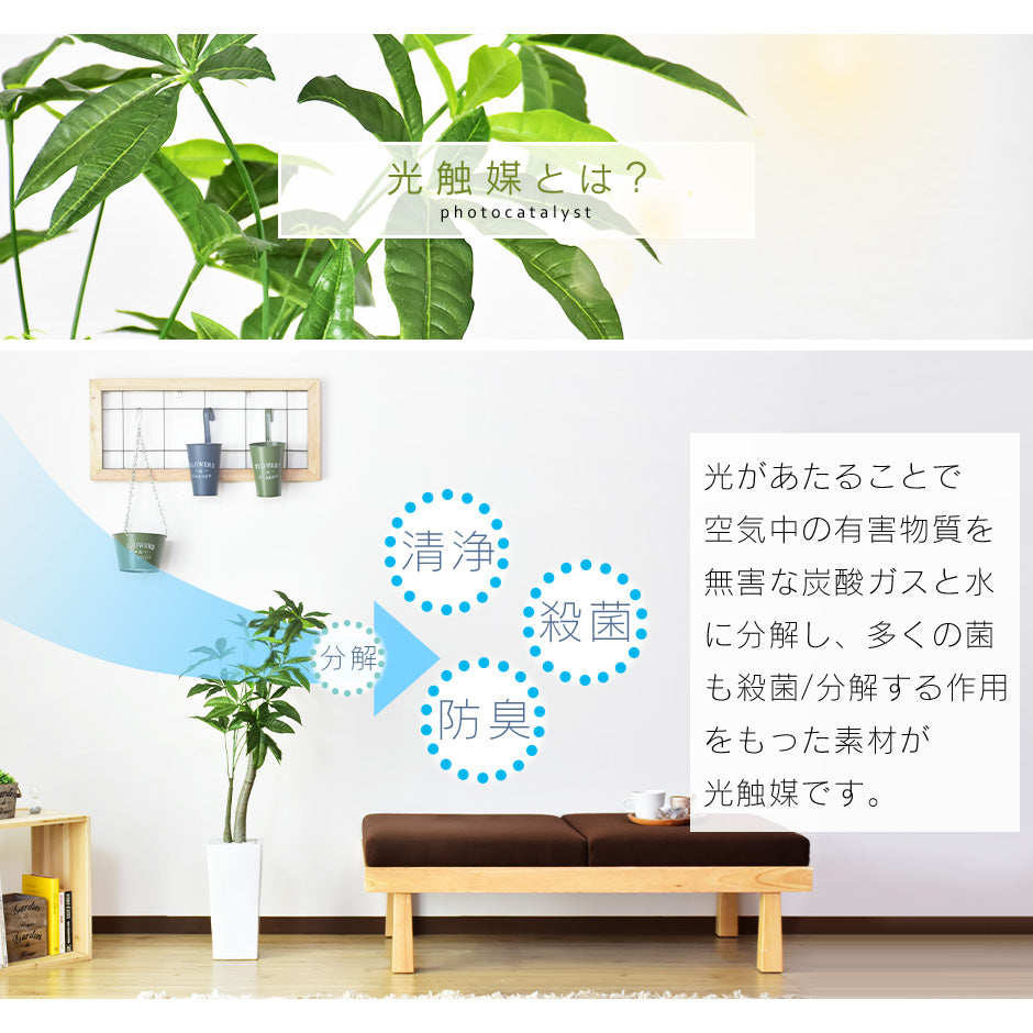 人工観葉植物 パキラ – ドリス公式