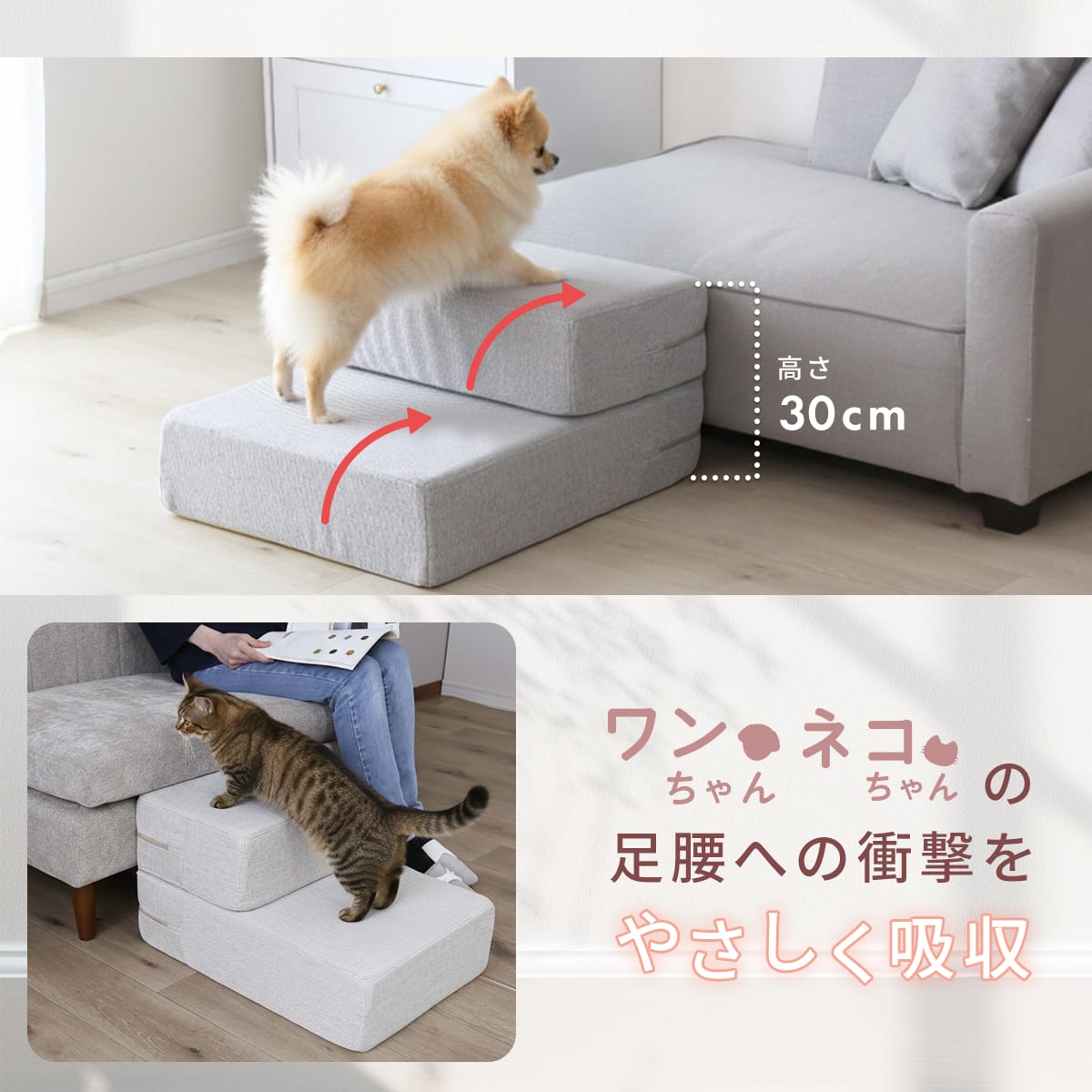 doris ペットステップ パッソ【幅39㎝｜幅50㎝】 – ドリス公式ストア