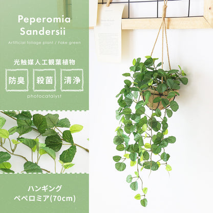 観葉植物　ハンギング ペペロミア70㎝
