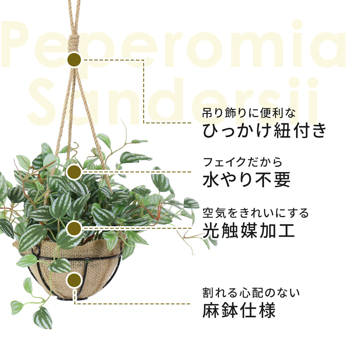 人工観葉植物 ペペロミア サンデルシー43cm